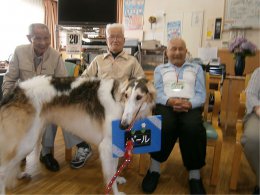 利用者様とセラピードッグ