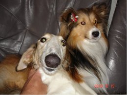 カノンと愛知南本部のジュニアセラピスト香ちゃん