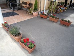 クリニック前のお花たち