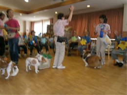 七夕とセラピードッグ