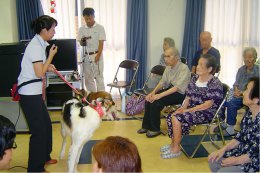 セラピー犬の紹介