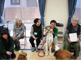 セラピーの様子