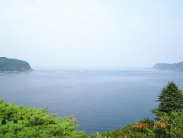 生きる息吹に満ちた東北