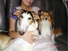 人間大好きのカノンとパール