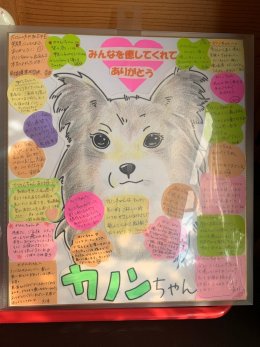 カノンの写真集と安城更生病院の皆さまからいただいた寄せ書き