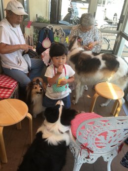 在りし日のカノン