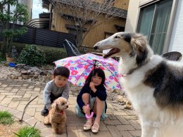 パールとリボンと孫達