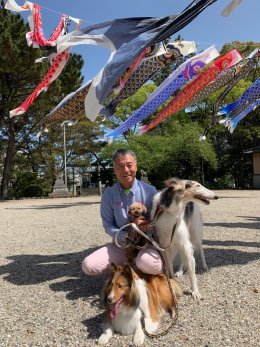 セラピードッグ達と鯉のぼり