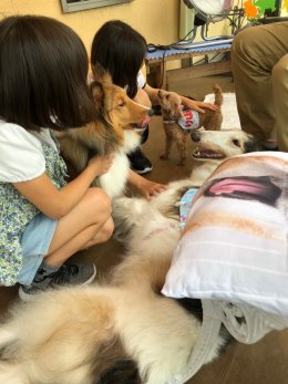 4ヶ月ぶりのセラピー