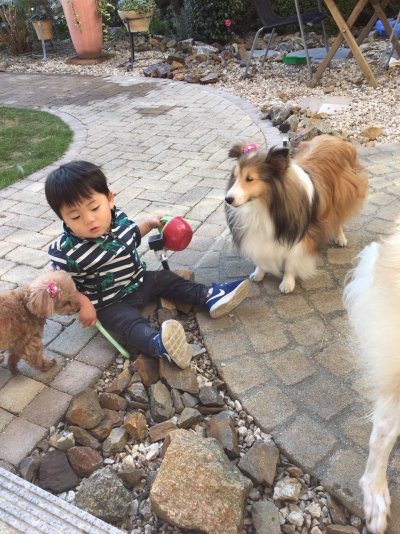 カノンとリボン