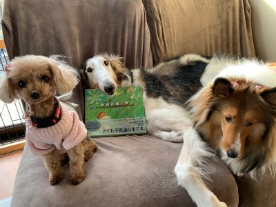 動物からのメッセージが詰まってます