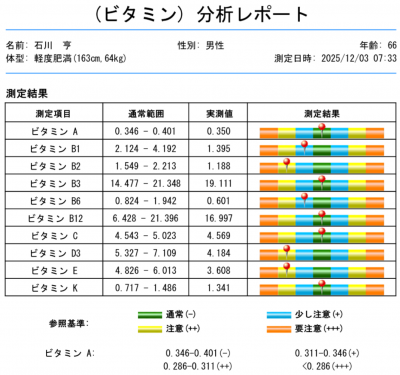 （ビタミン）分析レポート一例