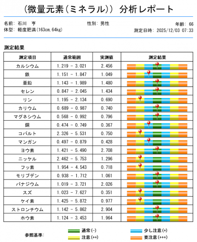 微量元素（ミネラル）分析レポート一例
